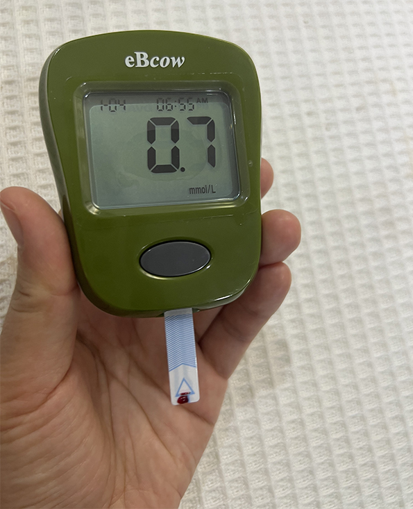 eBcow-內容.jpg